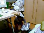 20080405hana01.jpg