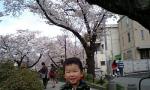 2009-04-04№(024)st